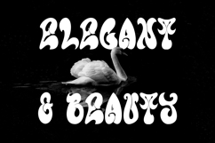 Olealle Experimental Display Font Product Image 4