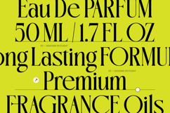 Oligierky - Modern Editorial Serif Product Image 8