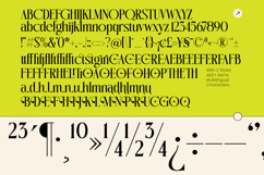 Oligierky - Modern Editorial Serif Product Image 10