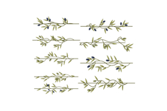 olive border divider set cartoon Product Image 1