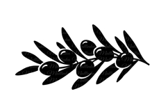 Olive branch Svg. Olive twig, sprig. Svg, Vector decor. Png. Product Image 2