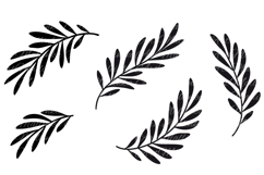 Olive branches with leaves. Svg, Vector cut files, Png. Product Image 2