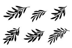 Olive branches with leaves. Svg, Vector cut files, Png. Product Image 2