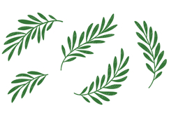 Olive branches with leaves. Svg, Vector cut files, Png. Product Image 4