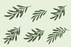 Olive branches with leaves. Svg, Vector cut files, Png. Product Image 4