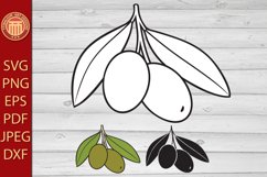 Olive - eps, jpg, dxf, svg, pdf, png files Product Image 1