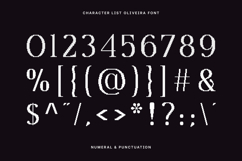 Oliveira - Modern Pixelated Serif Font Product Image 3