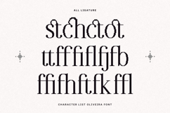 Oliveira - Modern Pixelated Serif Font Product Image 4