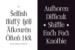 Oliveira - Modern Pixelated Serif Font Product Image 5