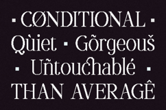 Oliveira - Modern Pixelated Serif Font Product Image 6