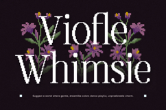 Oliveira - Modern Pixelated Serif Font Product Image 7