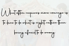 Olympush Product Image 6