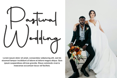 Olympush Product Image 4