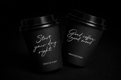 Onatur - Handwritten Signature Script Font Product Image 2