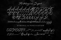 Onatur - Handwritten Signature Script Font Product Image 7