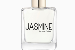 Only Script Product Image 2