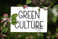 Only Script Product Image 3