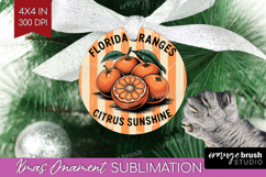 Orange Vintage Fruit Ornament PNG Summer PNG Sublimation Product Image 1