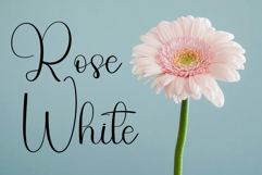 Orange Sunrise Product Image 6