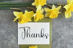 Orange Sunrise Product Image 2