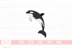Marine Animals Illustration Bundle Product Image 2