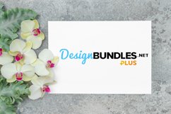 Orchid flowers green leaves white paper mockup