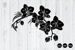 Orchids SVG, Orchids Flowers SVG, Flowers SVG Product Image 1
