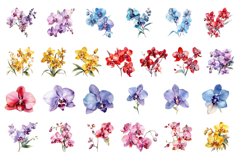 Flowers Watercolor Clipart Bundle Product Image 4