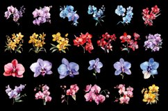 Orchids. Watercolor clipart collection Product Image 3