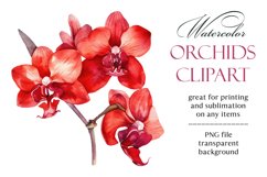 Orchids. Watercolor clipart collection Product Image 6