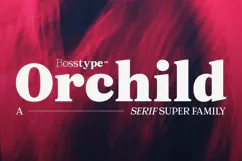 Orchild Serif | 91 Style Font Product Image 1