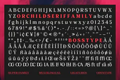 Orchild Serif | 91 Style Font Product Image 12