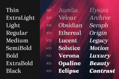 Orchild Serif | 91 Style Font Product Image 2