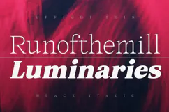 Orchild Serif | 91 Style Font Product Image 3
