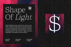 Orchild Serif | 91 Style Font Product Image 5