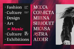 Orchild Serif | 91 Style Font Product Image 6