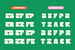 Order Snack - Bold Sans Display Font Product Image 9