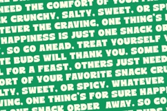 Order Snack - Bold Sans Display Font Product Image 12