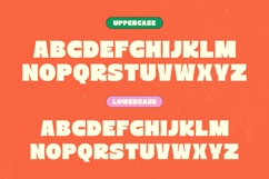 Order Snack - Bold Sans Display Font Product Image 14