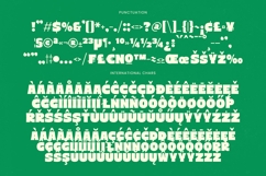 Order Snack - Bold Sans Display Font Product Image 18