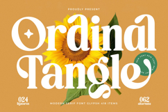Ordinal Tangle - Modern Serif Font Product Image 1