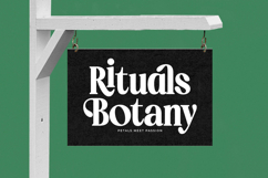 Ordinal Tangle - Modern Serif Font Product Image 16