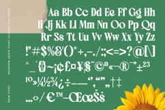 Ordinal Tangle - Modern Serif Font Product Image 18