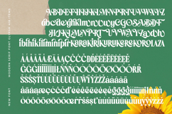 Ordinal Tangle - Modern Serif Font Product Image 19