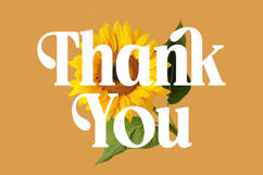 Ordinal Tangle - Modern Serif Font Product Image 20