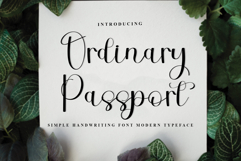 Ordinary Passport Product Image 1
