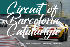 Oregoni Beach - Bold Handwritten Font Product Image 9