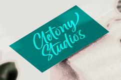 Oregoni Beach - Bold Handwritten Font Product Image 12