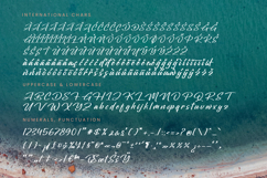 Oregoni Beach - Bold Handwritten Font Product Image 18