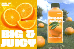 Oreon - Bold Font Product Image 6